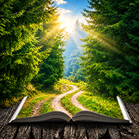 Open Book Portal to a Sunlit Forest low res